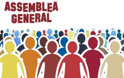 Assemblea general AVV